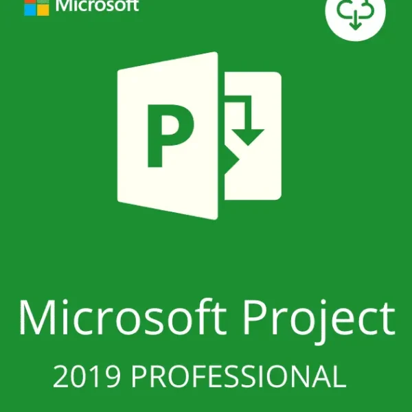 PROJECT 2019 PROFESSIONAL
